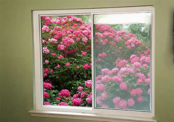 Window Replacement Woodstock showing a white sliding window with a clear view of blooming pink flowers outside, enhancing natural light, ventilation, and beautiful outdoor scenery for the home interior.